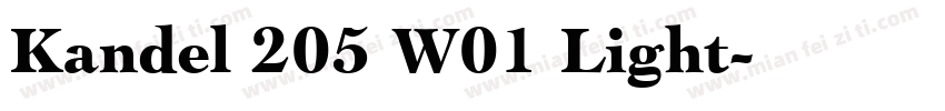 Kandel 205 W01 Light字体转换